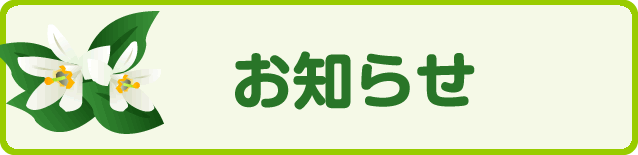 今月のお知らせ